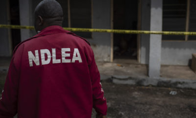 INSECURITY: NDLEA recieves commendations over its performance from Buhari