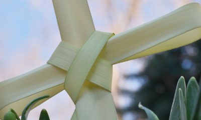 What you don't know about Palm Sunday