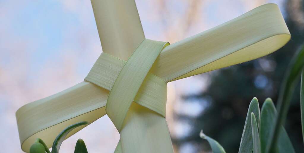 What you don't know about Palm Sunday