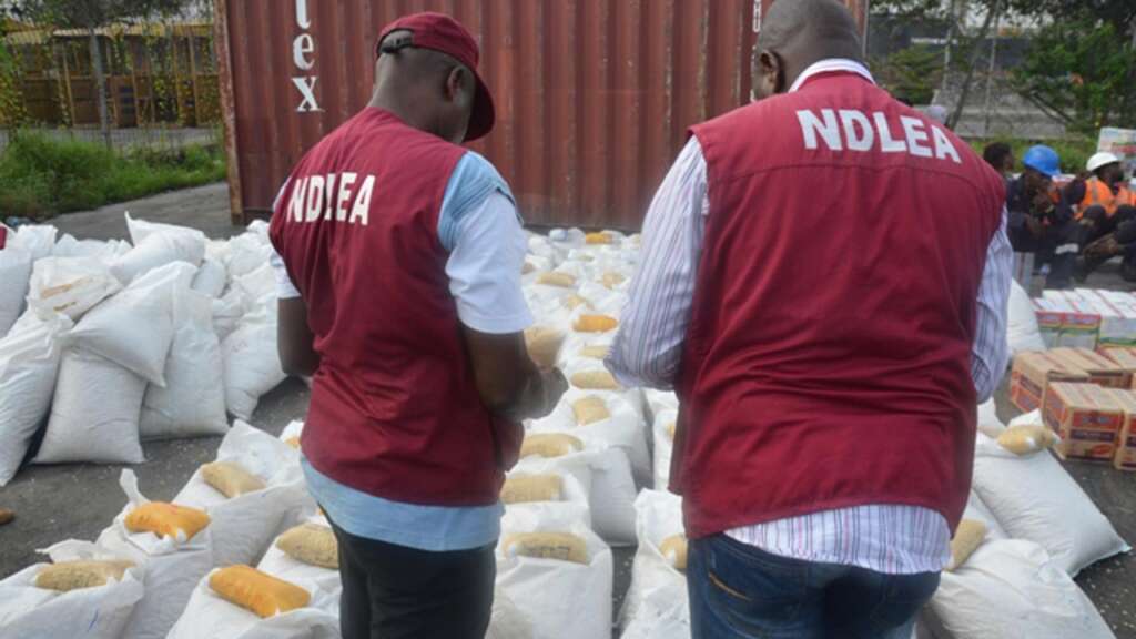 NDLEA destroys 20,000kg illicit drugs worth N50 billion