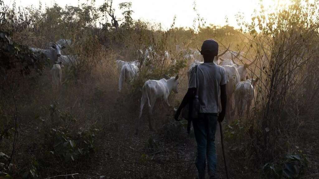 Suspected herdsmen kill person living with disability in Plateau State