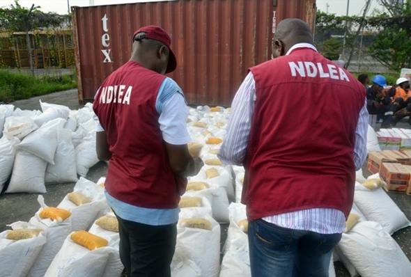 NDLEA secures 15-year jail term for Notorious drug trafficker in Katsina