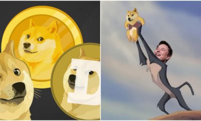 Bitcoin gaining stability after a wild May, Dogecoin soars