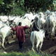 Angry youths stop herdsmen moving into Kwara community