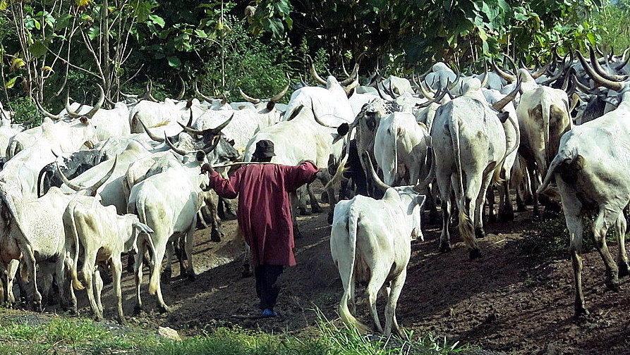 Angry youths stop herdsmen moving into Kwara community