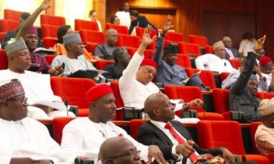 JUST IN: Lawmaker ready to impeach Buhari, list his constitutional breaches