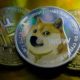 DOGECOIN: A joke has risen, outpacing nearly every other investment