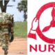 BREAKING: NURTW arrest soldier with 2000 rounds of ammunition in Borno