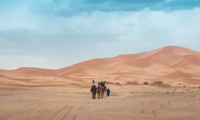 Beauty in Borno Desert(Sambisa forest)