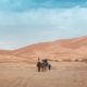 Beauty in Borno Desert(Sambisa forest)