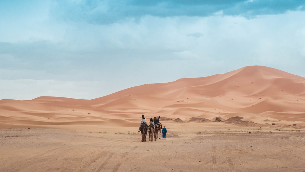 Beauty in Borno Desert(Sambisa forest)