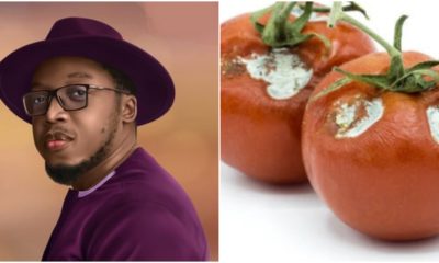 Aproko Doctor reveals the danger in consuming partly spoilt tomatoes