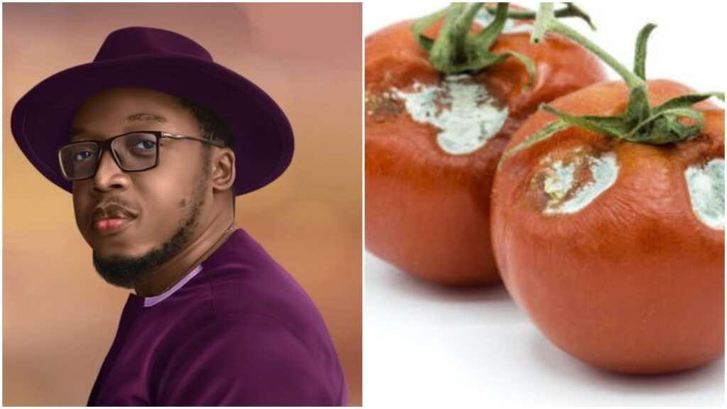 Aproko Doctor reveals the danger in consuming partly spoilt tomatoes