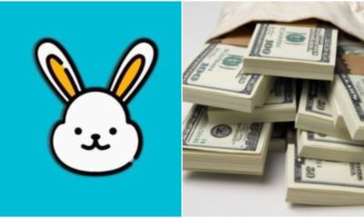 CRYPTO: Little Rabbit Token will make you a millionaire, here is why