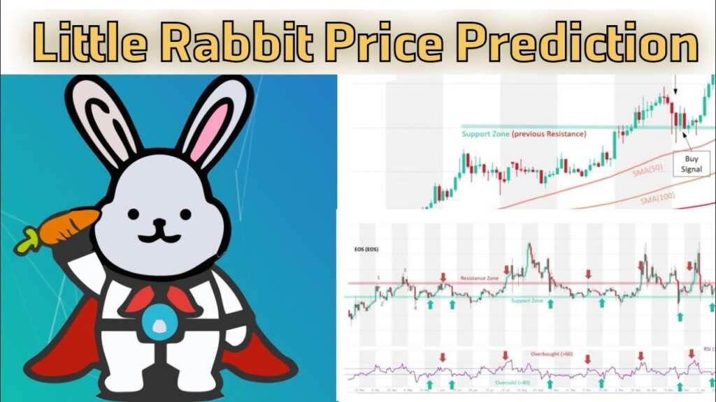 CRYPTO: Little Rabbit Token will make you a millionaire, here is why