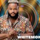 BBNaija S6: I’ve disappointed myself on the show, says Whitemoney