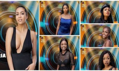 Things you should know about the BBNaija season 6 female housemates
