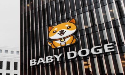 Is Baby Dogecoin a good investment in 2021