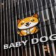 Is Baby Dogecoin a good investment in 2021