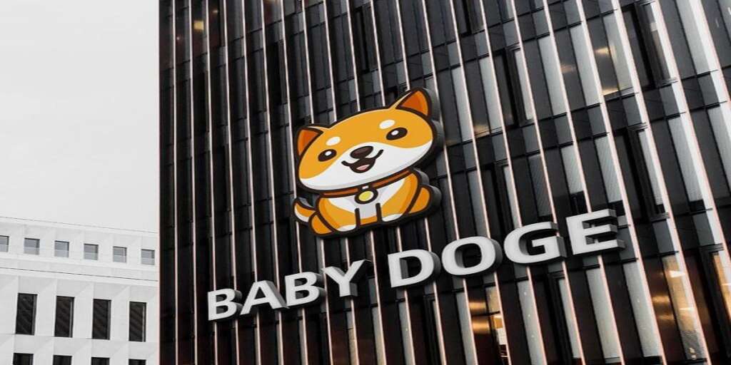 Is Baby Dogecoin a good investment in 2021