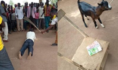 A man publicly flogged and fined a goat for attempting to sleep with his daughter-in-law