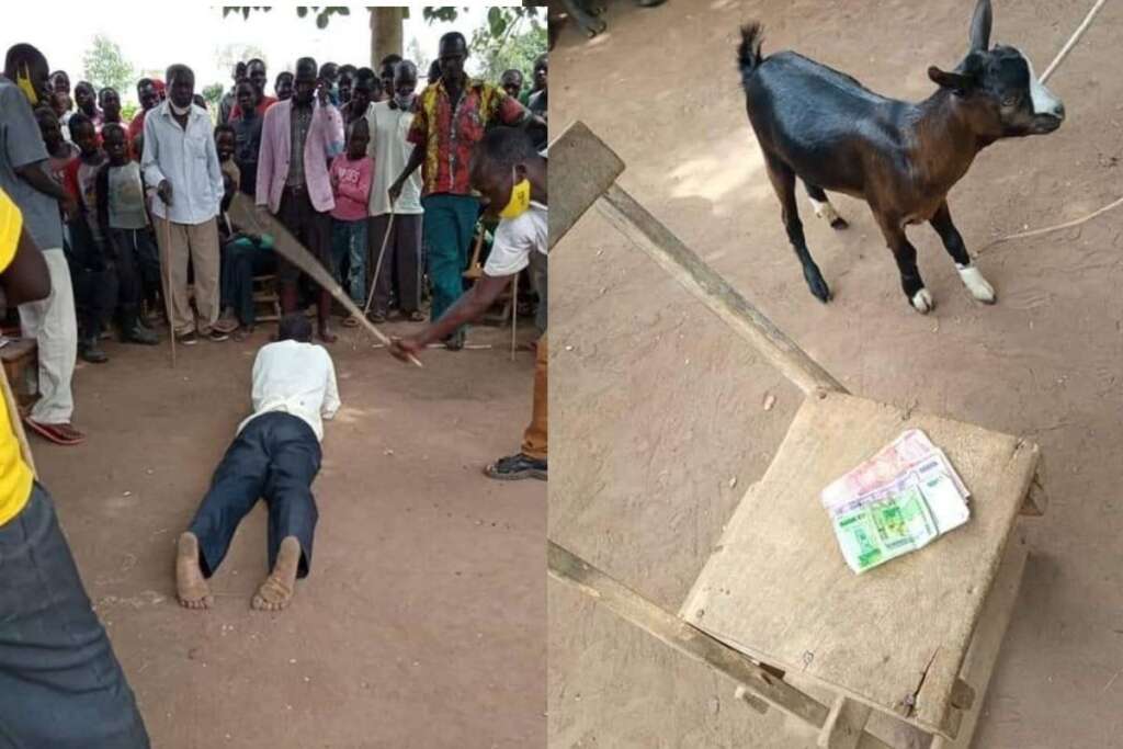 A man publicly flogged and fined a goat for attempting to sleep with his daughter-in-law