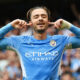 EPL: Reactions as Grealish nets first Man City goal against Norwich, Liverpool beat Burnley