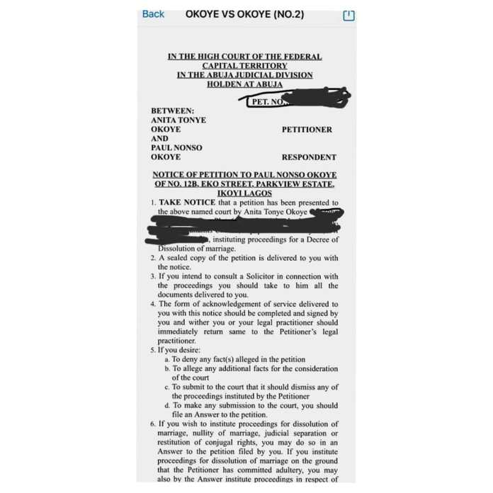 Anita and Paul Okoye Leaked Divorce Paper