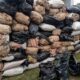 Soldiers have just intercepted 132 bags of Indian hemp in Benin