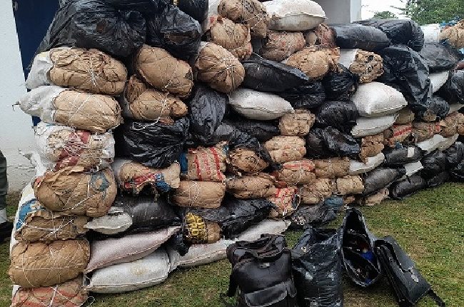 Soldiers have just intercepted 132 bags of Indian hemp in Benin