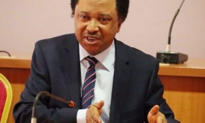 Shehu Sani- Bandits are worse Security risk than IPOB, Igboho