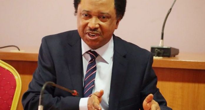 Shehu Sani- Bandits are worse Security risk than IPOB, Igboho