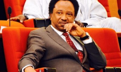 Innocent Nigerians die, leaders merry__ Senator Sani