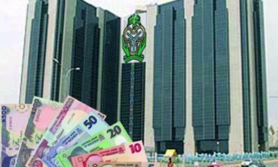 CBN said e-Naira is safer than Bitcoin