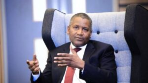 Dangote is into cement production, telecommunication, transport, sugar production, salt, agro sacks, oil refining, real estate, petrochemicals, and the rest of them.