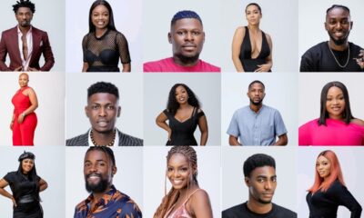 BBNaija Evicted Housemates Poll