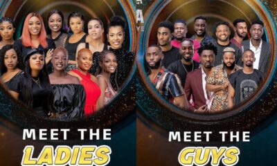 BBNaija S6: Top Millionaire housemates in the house