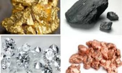 13 Nigeria Natural Resources, Their Locations And Uses