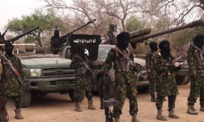JUST IN: Boko Haram terrorists kill 33 wives of ISWAP in retaliation attack