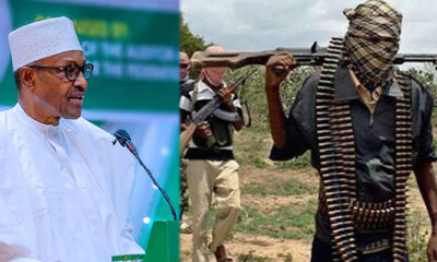 Bandits and Boko Haram are planning to dislodge Buhari from Aso Rock - Afenifere