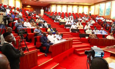 Senate panel reject Buhari's $700m loan request, says 'tell us what you doing with it'