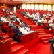 Senate panel reject Buhari's $700m loan request, says 'tell us what you doing with it'