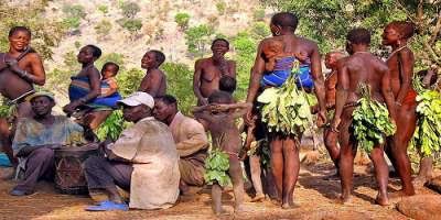 Nigerian Tribe Porn - See The Naked Tribes in Nigeria, where indigenes wear only leaves