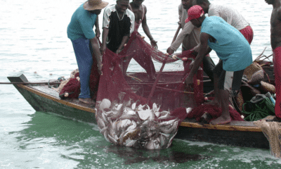 Unknown gunmen attack fishermen, steal outboard engines in Akwa Ibom