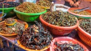 5 Importance of eating insects and how they could save world hunger