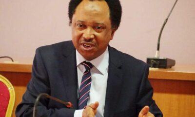 FG should declare bandits federal civil servants - Shehu Sani bewails