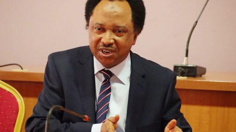 FG should declare bandits federal civil servants - Shehu Sani bewails