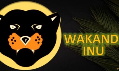 What is Wakanda Inu, the first African meme coin
