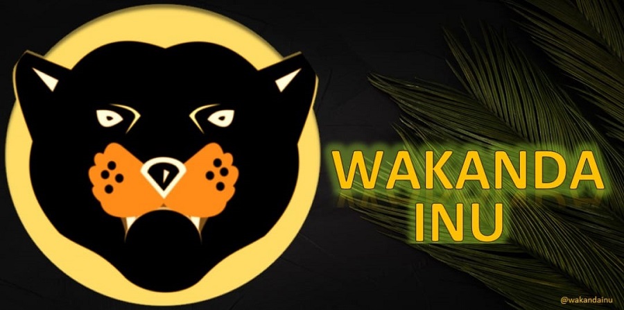 What is Wakanda Inu, the first African meme coin