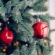 Everything To Know About The Christmas Tree